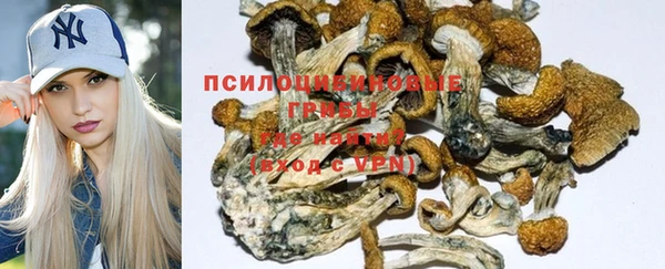 крисы Балабаново